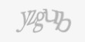 Защитный код